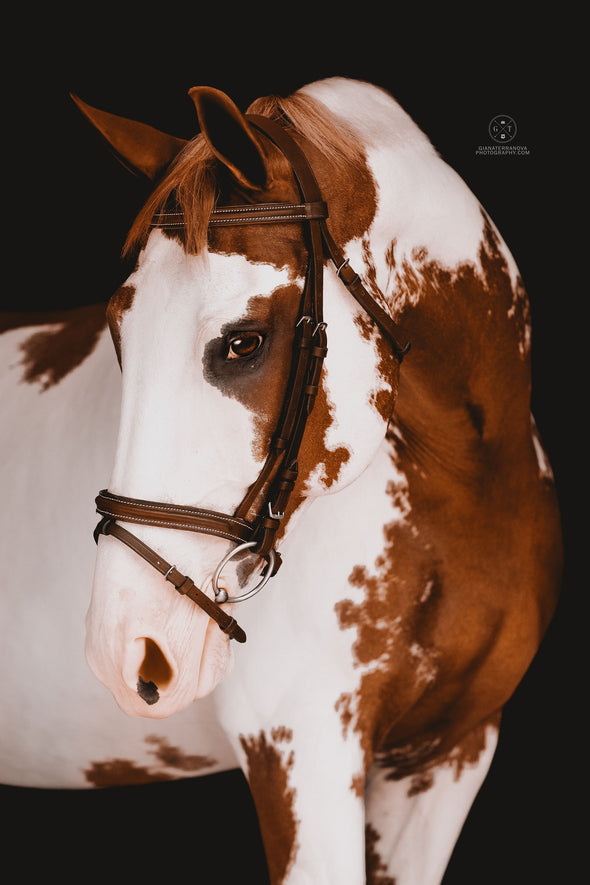 Flash Bridle by Leader