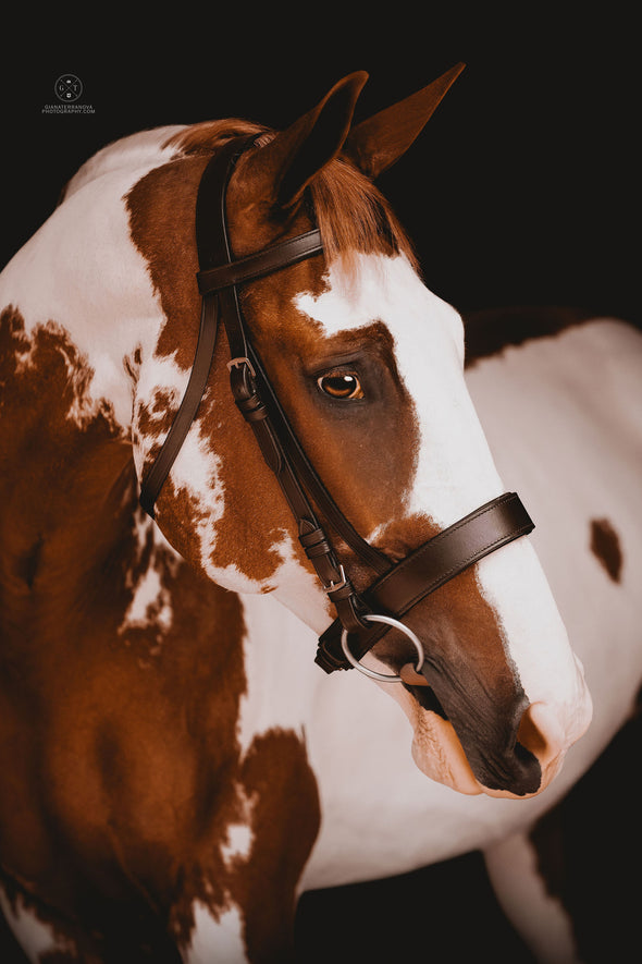SoCali Equestrian by Leader Worldwide Hunting Bridle with Invisible Padding with Laced Grip Reins