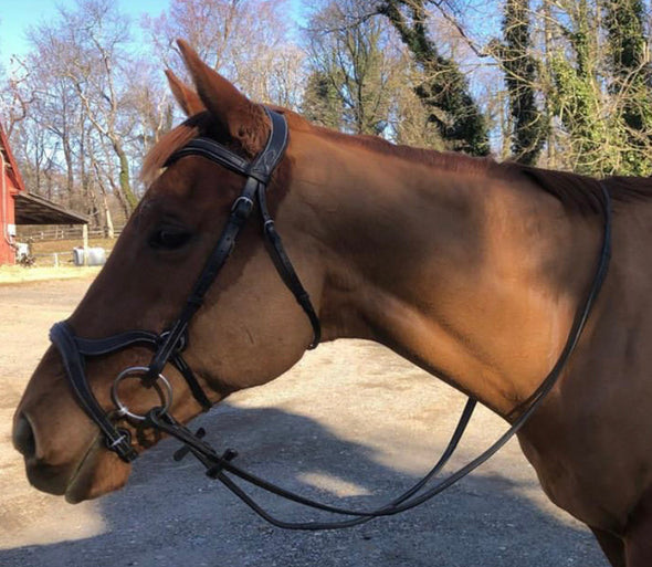 Full Freedom Anatomical Bridle with Rubber Reins