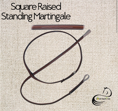 FANCY SQUARE RAISED STANDING MARTINGALE.